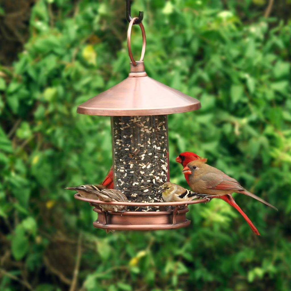 Classic Perch Bird Feeder in Copper Finish