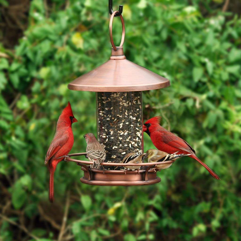 Classic Perch Bird Feeder in Copper Finish