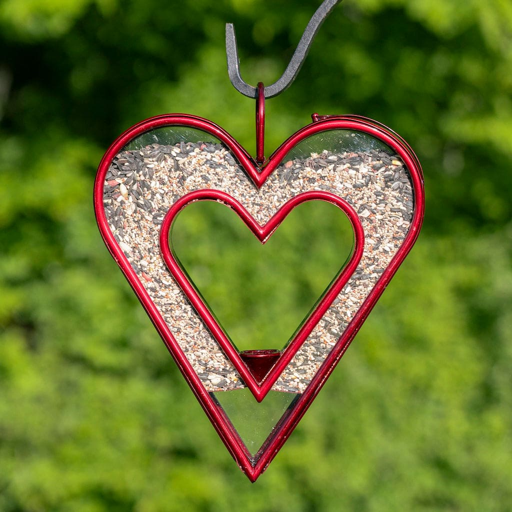 Be Still My Heart Fly Thru Heart-Shaped Ruby Red Bird Feeder