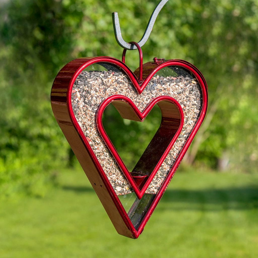 Be Still My Heart Fly Thru Heart-Shaped Ruby Red Bird Feeder
