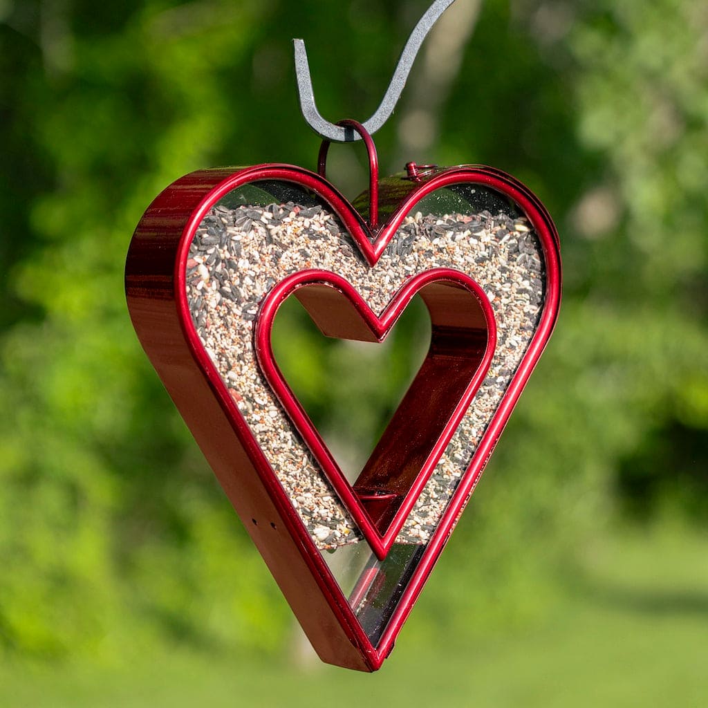 Be Still My Heart Fly Thru Heart-Shaped Ruby Red Bird Feeder