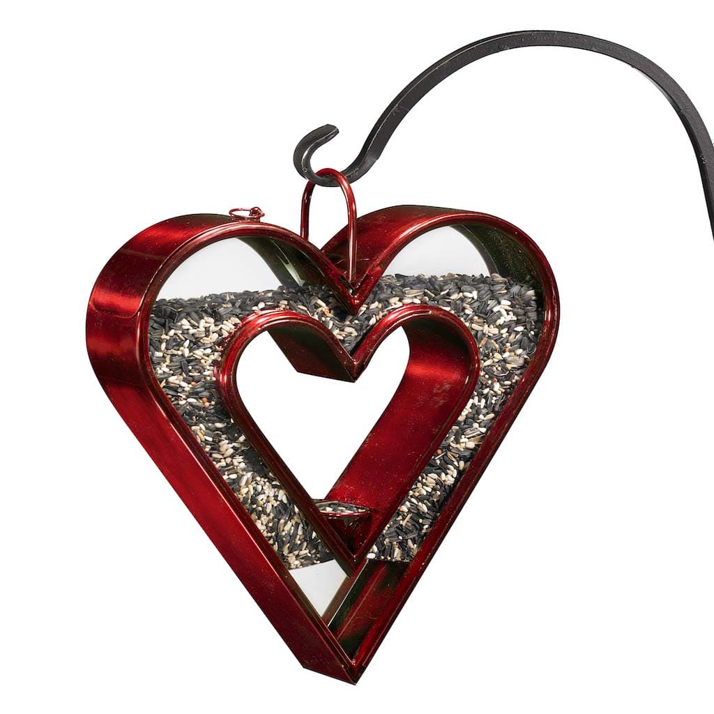 Be Still My Heart Fly Thru Heart-Shaped Ruby Red Bird Feeder