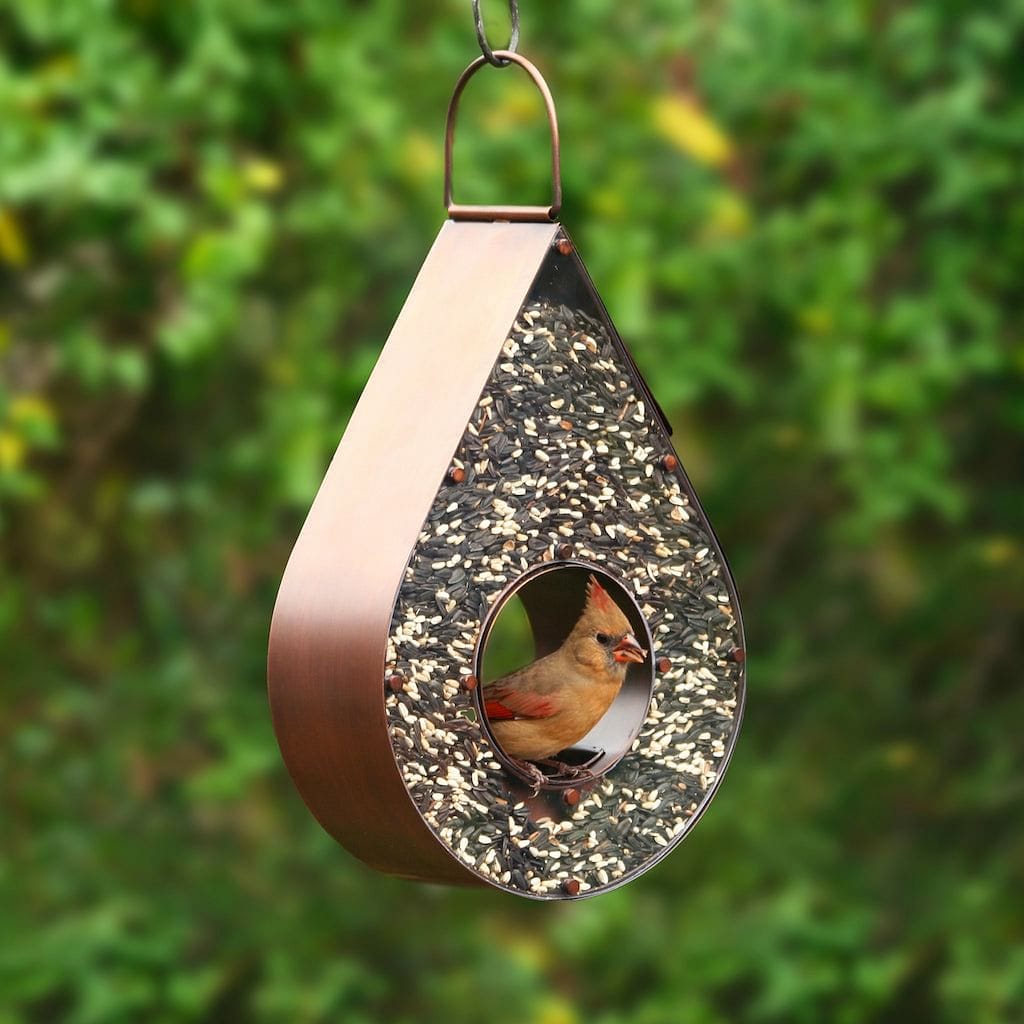Copper Teardrop FlyinThru Bird Feeder