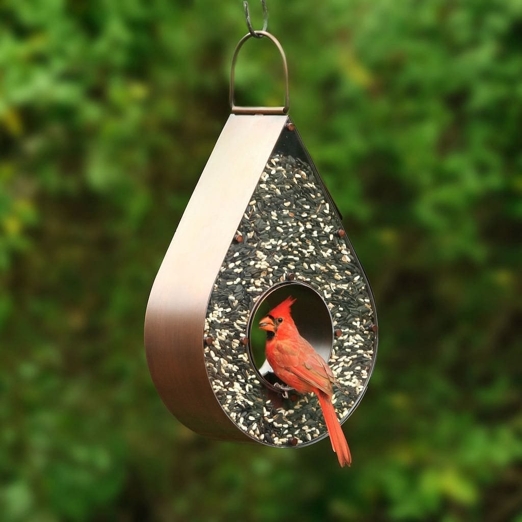 Copper Teardrop FlyinThru Bird Feeder